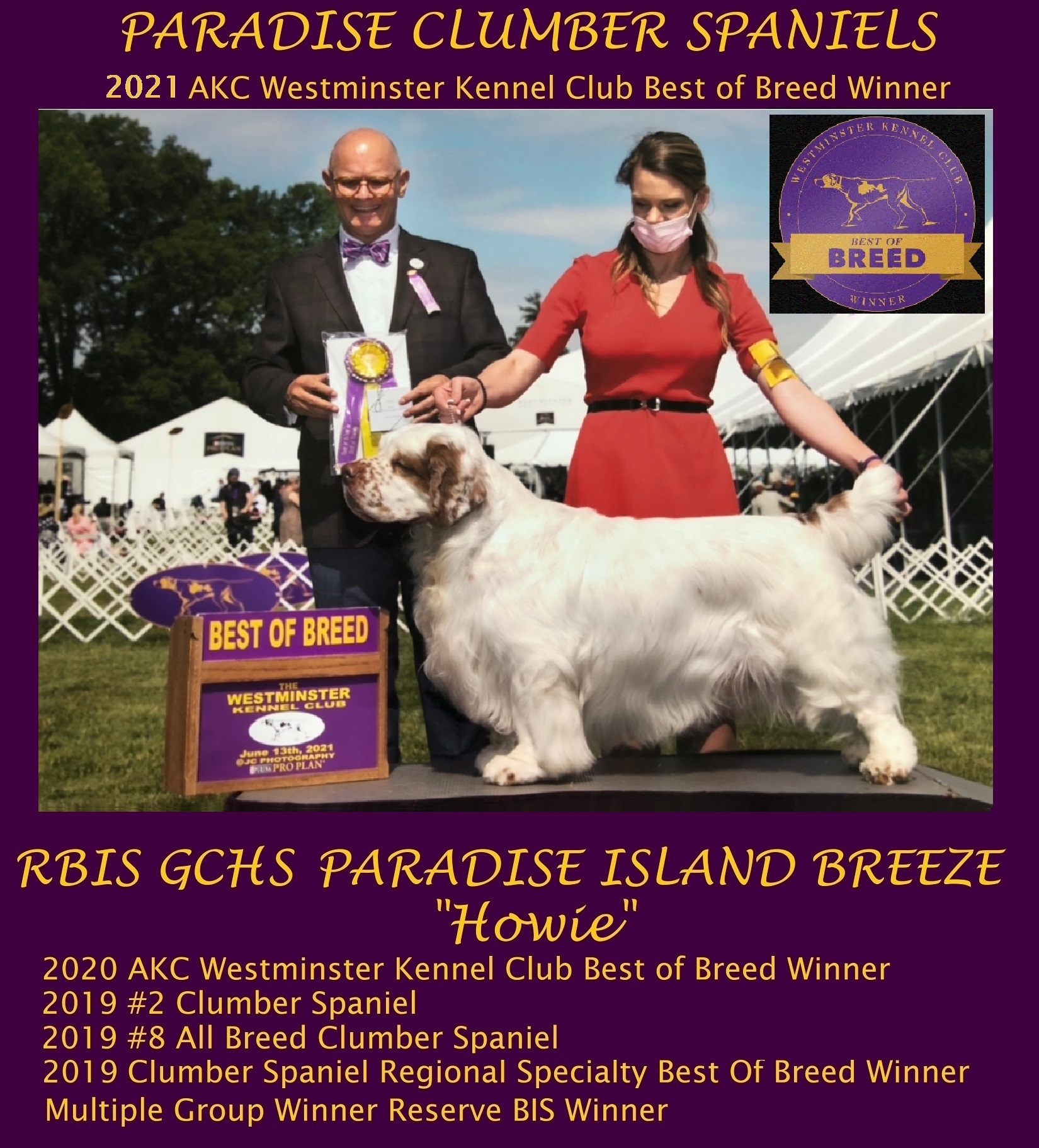 2021 AKC Westminister Best-Of-Breed